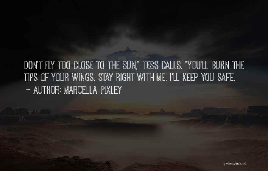 Marcella Pixley Quotes: Don't Fly Too Close To The Sun, Tess Calls. You'll Burn The Tips Of Your Wings. Stay Right With Me.