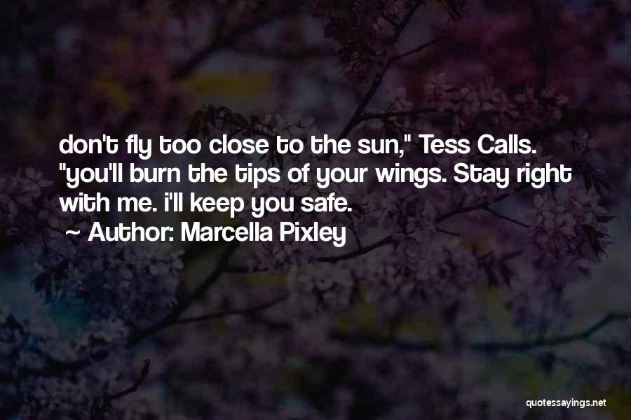 Marcella Pixley Quotes: Don't Fly Too Close To The Sun, Tess Calls. You'll Burn The Tips Of Your Wings. Stay Right With Me.