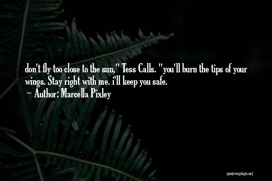 Marcella Pixley Quotes: Don't Fly Too Close To The Sun, Tess Calls. You'll Burn The Tips Of Your Wings. Stay Right With Me.