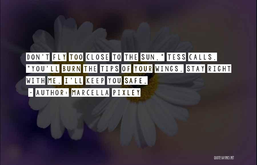 Marcella Pixley Quotes: Don't Fly Too Close To The Sun, Tess Calls. You'll Burn The Tips Of Your Wings. Stay Right With Me.