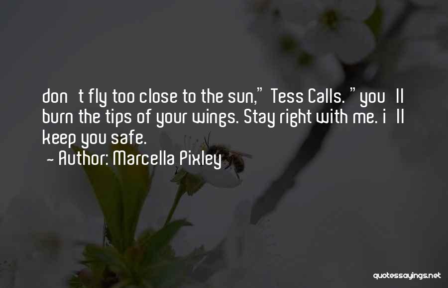 Marcella Pixley Quotes: Don't Fly Too Close To The Sun, Tess Calls. You'll Burn The Tips Of Your Wings. Stay Right With Me.