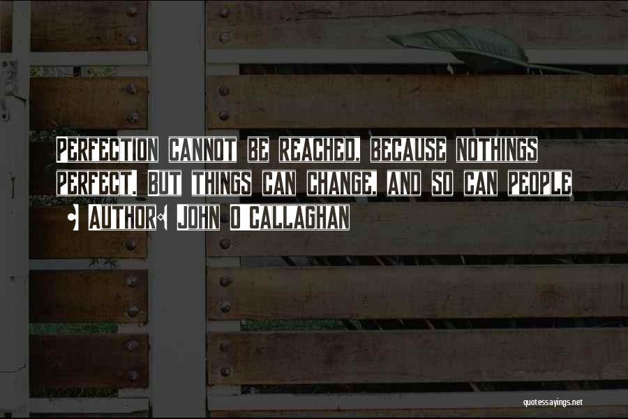 John O'Callaghan Quotes: Perfection Cannot Be Reached, Because Nothings Perfect. But Things Can Change, And So Can People