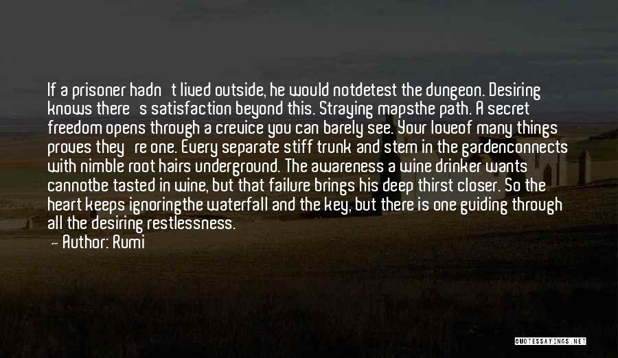 Rumi Quotes: If A Prisoner Hadn't Lived Outside, He Would Notdetest The Dungeon. Desiring Knows There's Satisfaction Beyond This. Straying Mapsthe Path.