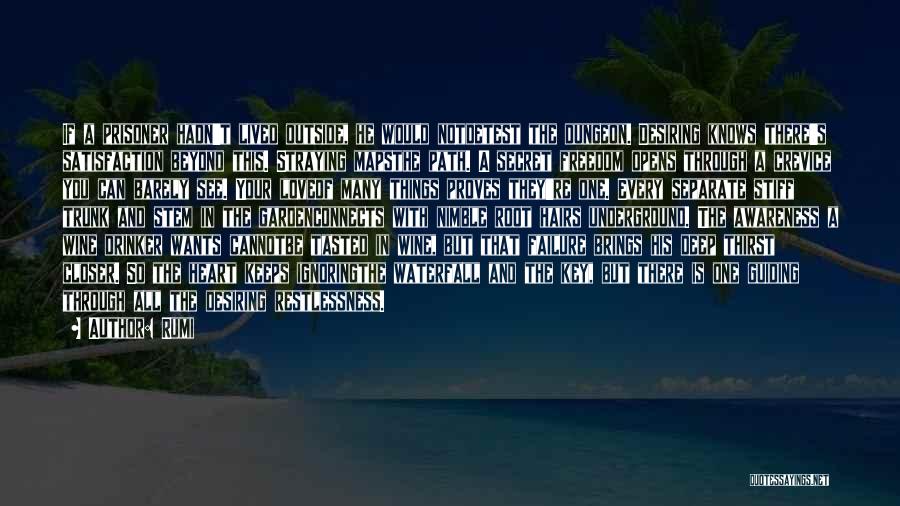 Rumi Quotes: If A Prisoner Hadn't Lived Outside, He Would Notdetest The Dungeon. Desiring Knows There's Satisfaction Beyond This. Straying Mapsthe Path.
