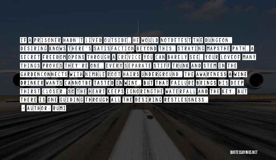 Rumi Quotes: If A Prisoner Hadn't Lived Outside, He Would Notdetest The Dungeon. Desiring Knows There's Satisfaction Beyond This. Straying Mapsthe Path.