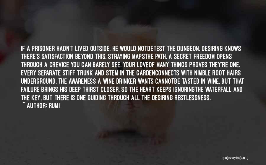 Rumi Quotes: If A Prisoner Hadn't Lived Outside, He Would Notdetest The Dungeon. Desiring Knows There's Satisfaction Beyond This. Straying Mapsthe Path.