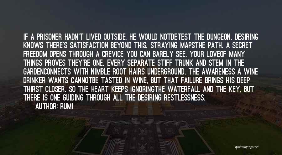 Rumi Quotes: If A Prisoner Hadn't Lived Outside, He Would Notdetest The Dungeon. Desiring Knows There's Satisfaction Beyond This. Straying Mapsthe Path.