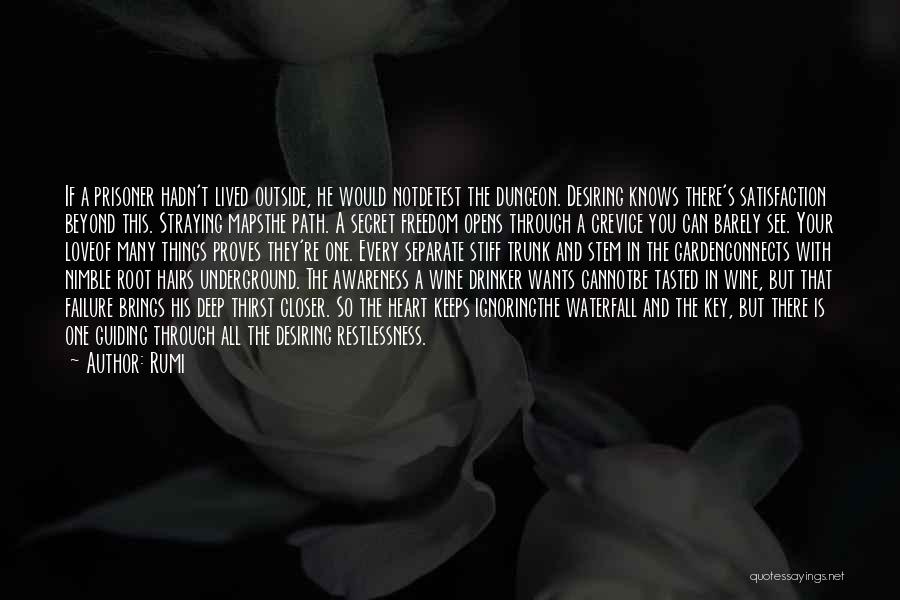 Rumi Quotes: If A Prisoner Hadn't Lived Outside, He Would Notdetest The Dungeon. Desiring Knows There's Satisfaction Beyond This. Straying Mapsthe Path.