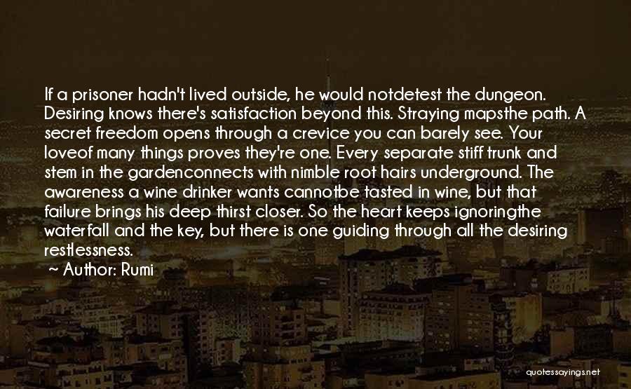 Rumi Quotes: If A Prisoner Hadn't Lived Outside, He Would Notdetest The Dungeon. Desiring Knows There's Satisfaction Beyond This. Straying Mapsthe Path.