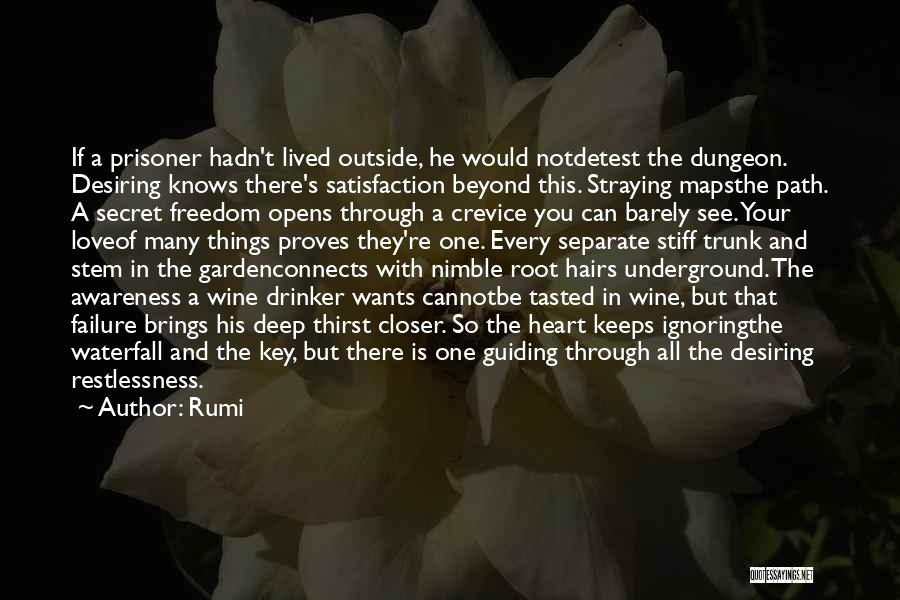 Rumi Quotes: If A Prisoner Hadn't Lived Outside, He Would Notdetest The Dungeon. Desiring Knows There's Satisfaction Beyond This. Straying Mapsthe Path.