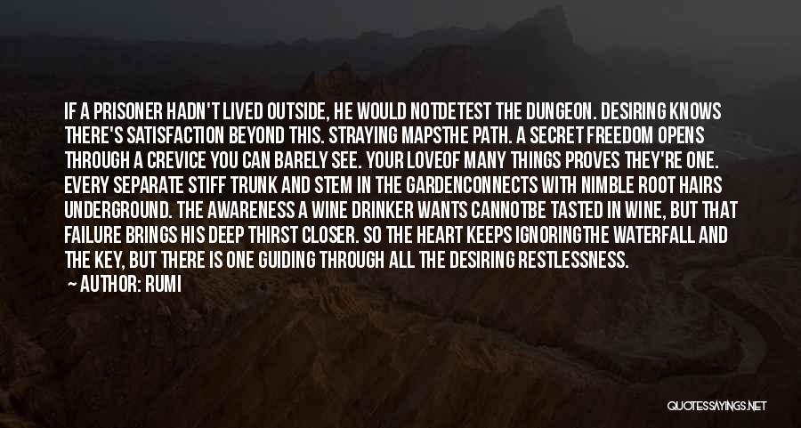 Rumi Quotes: If A Prisoner Hadn't Lived Outside, He Would Notdetest The Dungeon. Desiring Knows There's Satisfaction Beyond This. Straying Mapsthe Path.