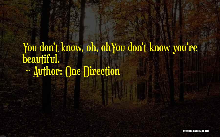 One Direction Quotes: You Don't Know, Oh, Ohyou Don't Know You're Beautiful.