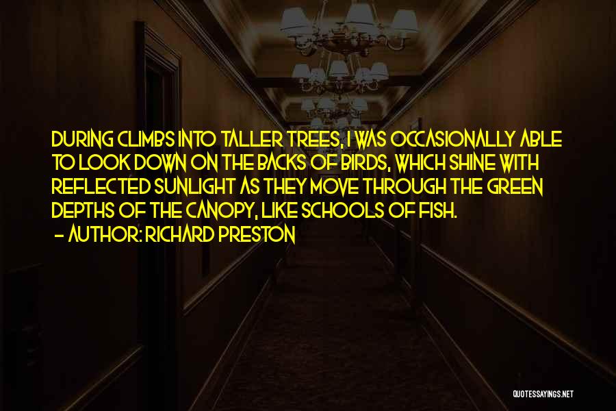 Richard Preston Quotes: During Climbs Into Taller Trees, I Was Occasionally Able To Look Down On The Backs Of Birds, Which Shine With