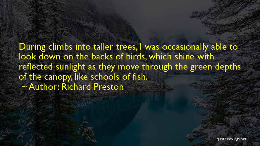 Richard Preston Quotes: During Climbs Into Taller Trees, I Was Occasionally Able To Look Down On The Backs Of Birds, Which Shine With