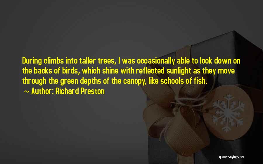 Richard Preston Quotes: During Climbs Into Taller Trees, I Was Occasionally Able To Look Down On The Backs Of Birds, Which Shine With