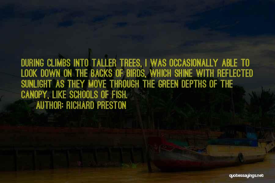 Richard Preston Quotes: During Climbs Into Taller Trees, I Was Occasionally Able To Look Down On The Backs Of Birds, Which Shine With