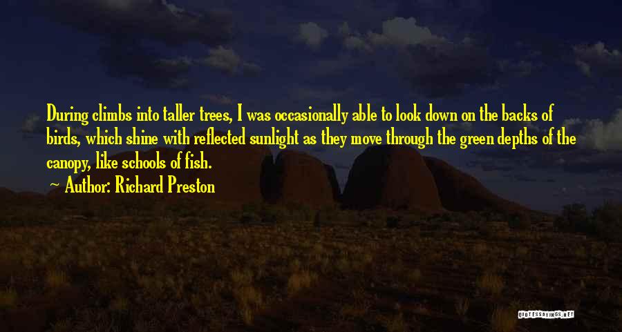 Richard Preston Quotes: During Climbs Into Taller Trees, I Was Occasionally Able To Look Down On The Backs Of Birds, Which Shine With