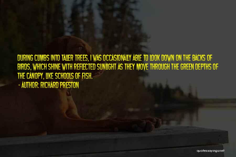 Richard Preston Quotes: During Climbs Into Taller Trees, I Was Occasionally Able To Look Down On The Backs Of Birds, Which Shine With