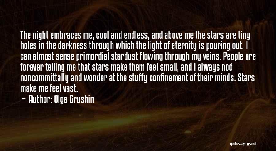 Olga Grushin Quotes: The Night Embraces Me, Cool And Endless, And Above Me The Stars Are Tiny Holes In The Darkness Through Which