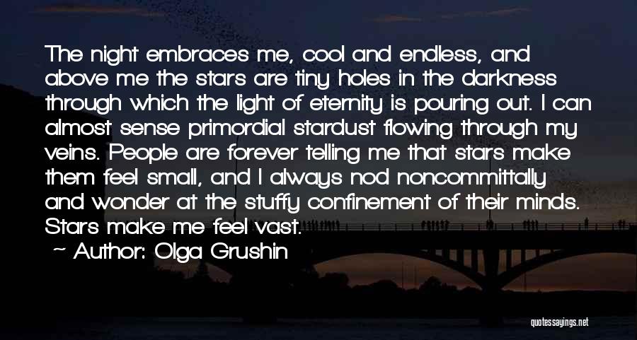 Olga Grushin Quotes: The Night Embraces Me, Cool And Endless, And Above Me The Stars Are Tiny Holes In The Darkness Through Which