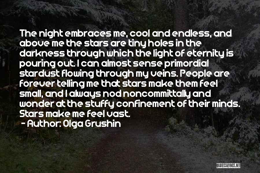 Olga Grushin Quotes: The Night Embraces Me, Cool And Endless, And Above Me The Stars Are Tiny Holes In The Darkness Through Which