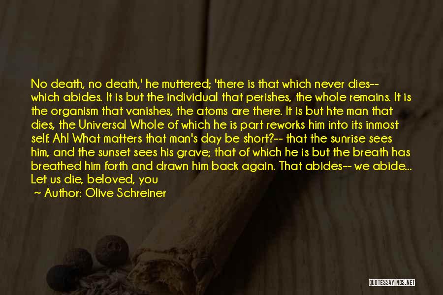 Olive Schreiner Quotes: No Death, No Death,' He Muttered; 'there Is That Which Never Dies-- Which Abides. It Is But The Individual That