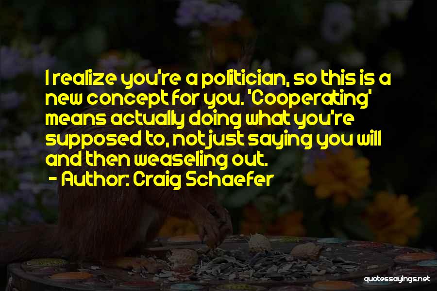 Craig Schaefer Quotes: I Realize You're A Politician, So This Is A New Concept For You. 'cooperating' Means Actually Doing What You're Supposed