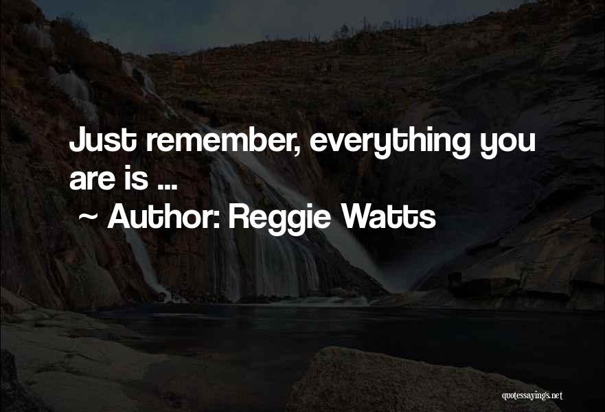 Reggie Watts Quotes: Just Remember, Everything You Are Is ...
