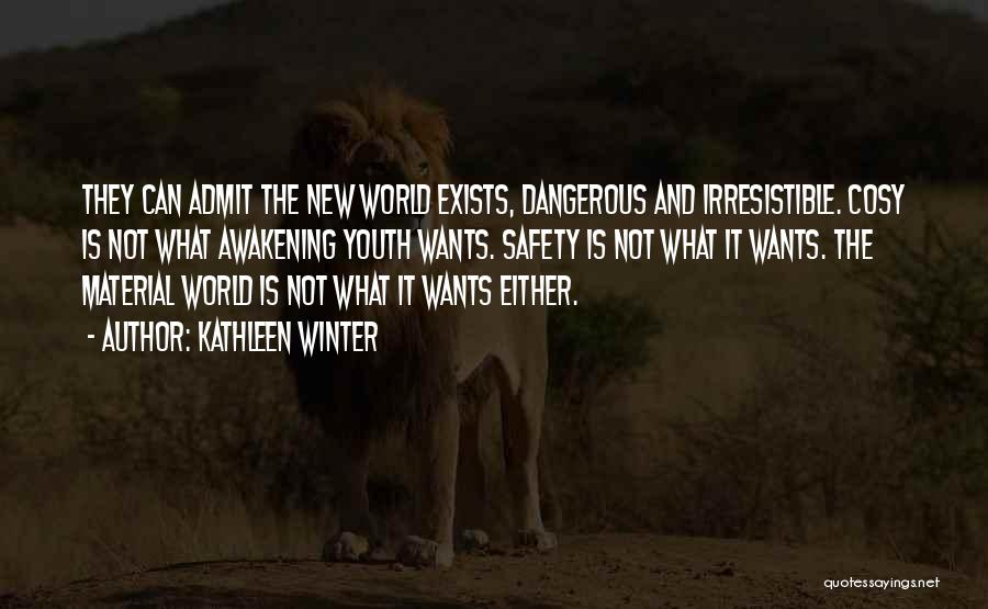 Kathleen Winter Quotes: They Can Admit The New World Exists, Dangerous And Irresistible. Cosy Is Not What Awakening Youth Wants. Safety Is Not