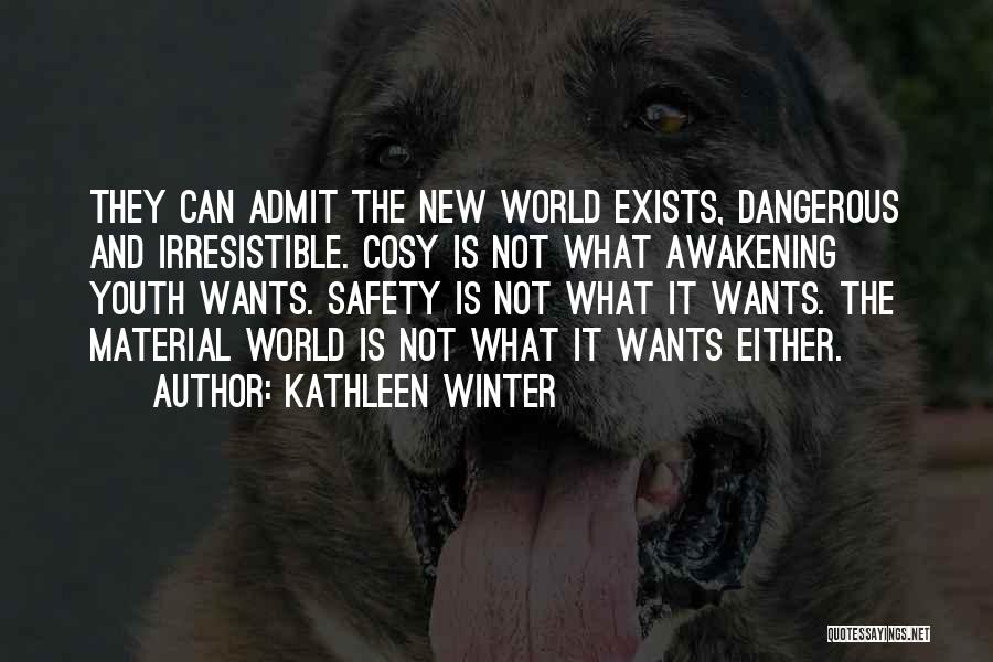 Kathleen Winter Quotes: They Can Admit The New World Exists, Dangerous And Irresistible. Cosy Is Not What Awakening Youth Wants. Safety Is Not