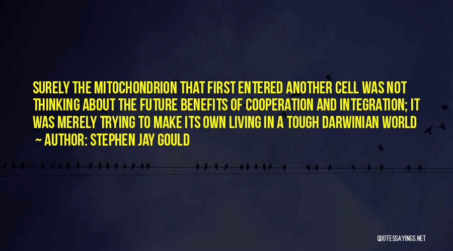 Stephen Jay Gould Quotes: Surely The Mitochondrion That First Entered Another Cell Was Not Thinking About The Future Benefits Of Cooperation And Integration; It