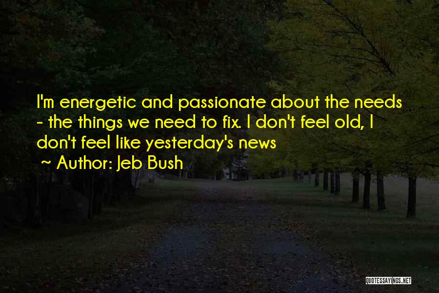 Jeb Bush Quotes: I'm Energetic And Passionate About The Needs - The Things We Need To Fix. I Don't Feel Old, I Don't