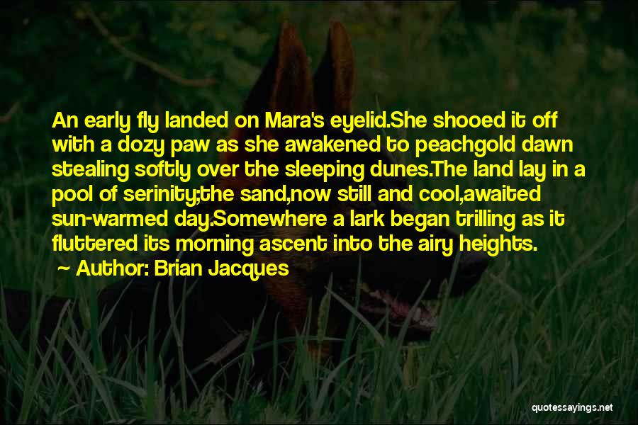 Brian Jacques Quotes: An Early Fly Landed On Mara's Eyelid.she Shooed It Off With A Dozy Paw As She Awakened To Peachgold Dawn