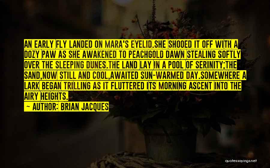 Brian Jacques Quotes: An Early Fly Landed On Mara's Eyelid.she Shooed It Off With A Dozy Paw As She Awakened To Peachgold Dawn