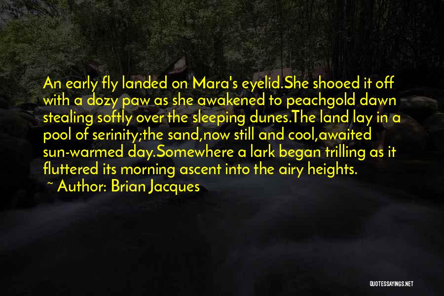 Brian Jacques Quotes: An Early Fly Landed On Mara's Eyelid.she Shooed It Off With A Dozy Paw As She Awakened To Peachgold Dawn