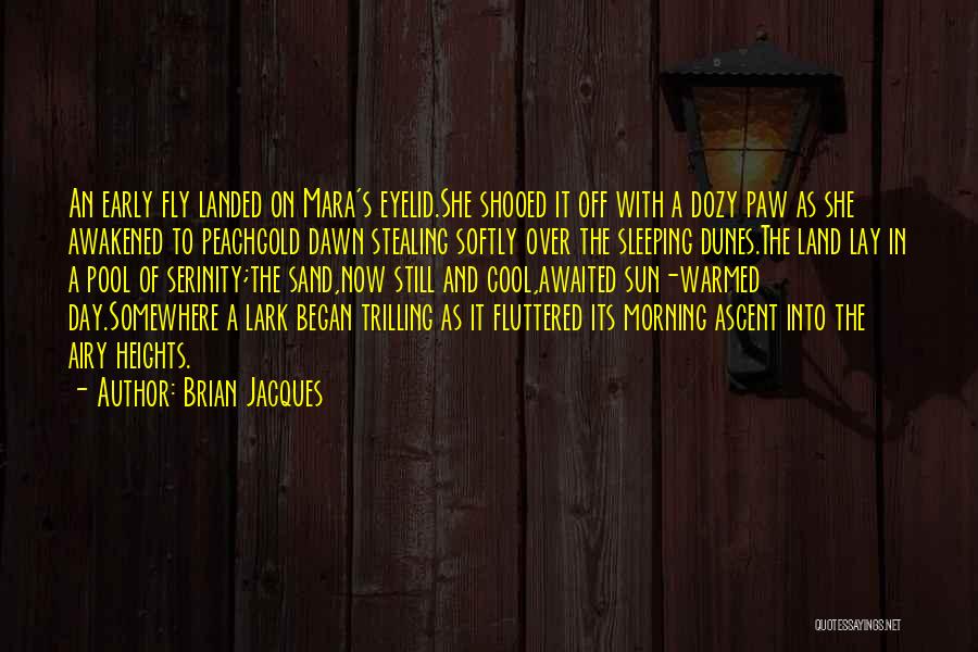 Brian Jacques Quotes: An Early Fly Landed On Mara's Eyelid.she Shooed It Off With A Dozy Paw As She Awakened To Peachgold Dawn