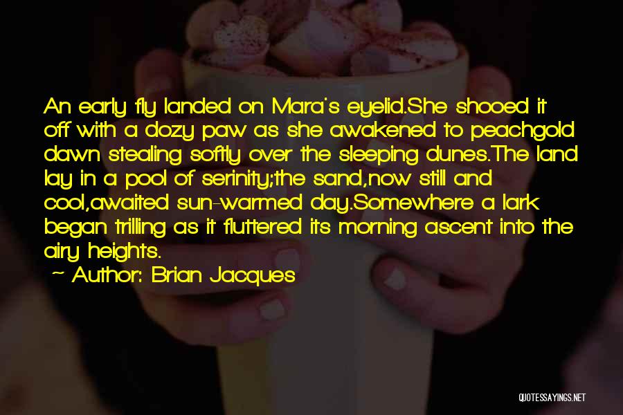 Brian Jacques Quotes: An Early Fly Landed On Mara's Eyelid.she Shooed It Off With A Dozy Paw As She Awakened To Peachgold Dawn