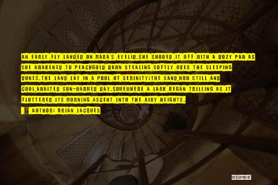 Brian Jacques Quotes: An Early Fly Landed On Mara's Eyelid.she Shooed It Off With A Dozy Paw As She Awakened To Peachgold Dawn