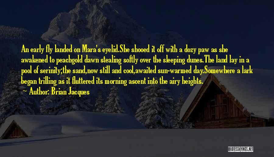 Brian Jacques Quotes: An Early Fly Landed On Mara's Eyelid.she Shooed It Off With A Dozy Paw As She Awakened To Peachgold Dawn