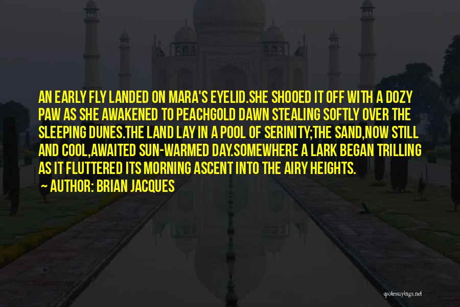 Brian Jacques Quotes: An Early Fly Landed On Mara's Eyelid.she Shooed It Off With A Dozy Paw As She Awakened To Peachgold Dawn