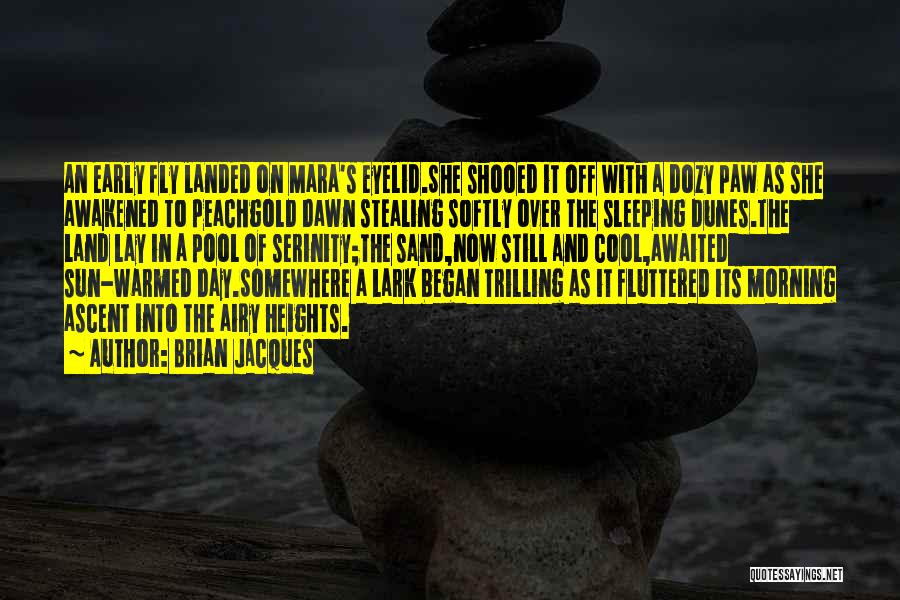 Brian Jacques Quotes: An Early Fly Landed On Mara's Eyelid.she Shooed It Off With A Dozy Paw As She Awakened To Peachgold Dawn