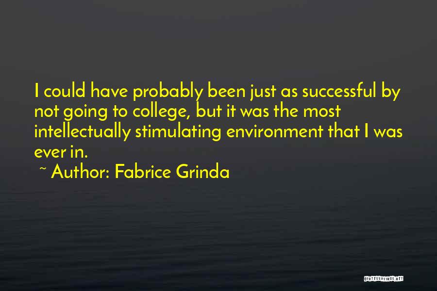 Fabrice Grinda Quotes: I Could Have Probably Been Just As Successful By Not Going To College, But It Was The Most Intellectually Stimulating
