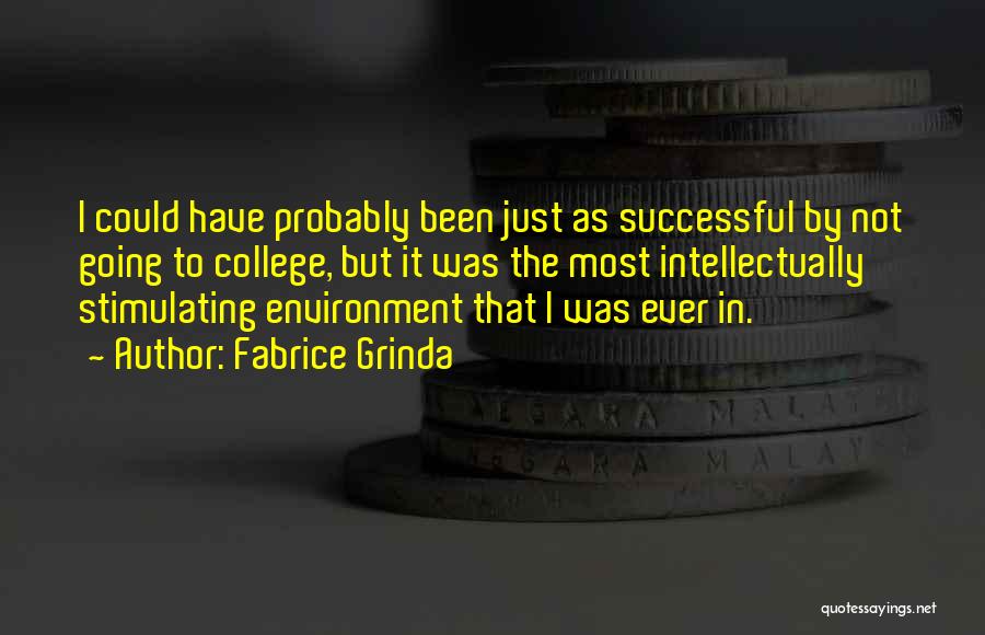 Fabrice Grinda Quotes: I Could Have Probably Been Just As Successful By Not Going To College, But It Was The Most Intellectually Stimulating