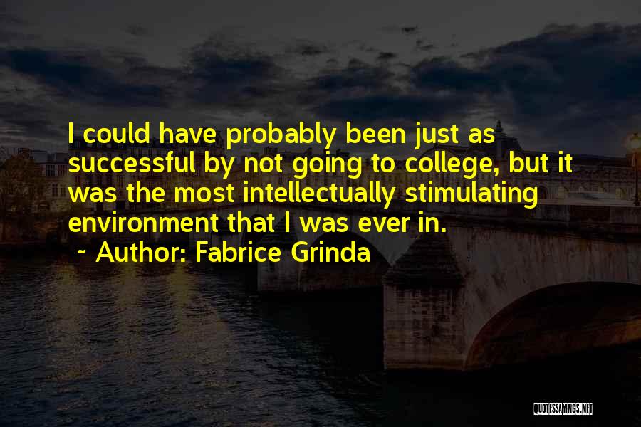 Fabrice Grinda Quotes: I Could Have Probably Been Just As Successful By Not Going To College, But It Was The Most Intellectually Stimulating