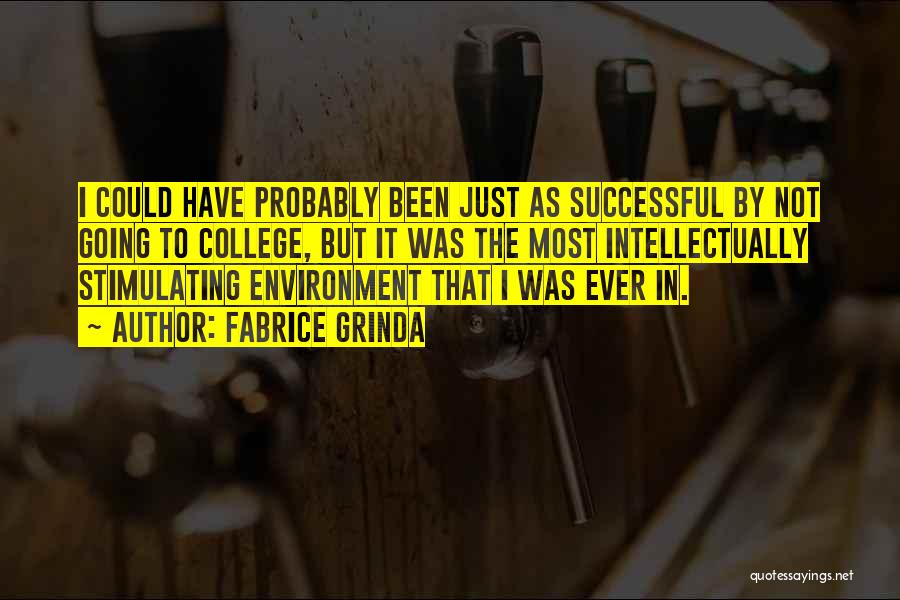 Fabrice Grinda Quotes: I Could Have Probably Been Just As Successful By Not Going To College, But It Was The Most Intellectually Stimulating