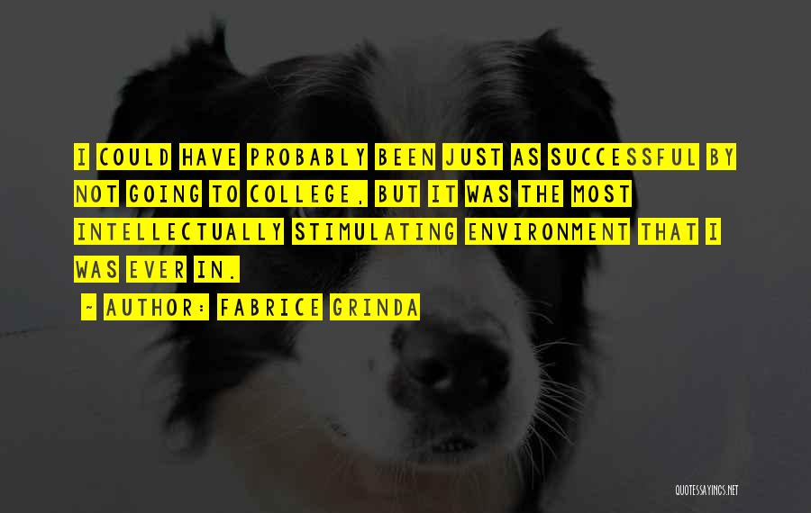 Fabrice Grinda Quotes: I Could Have Probably Been Just As Successful By Not Going To College, But It Was The Most Intellectually Stimulating