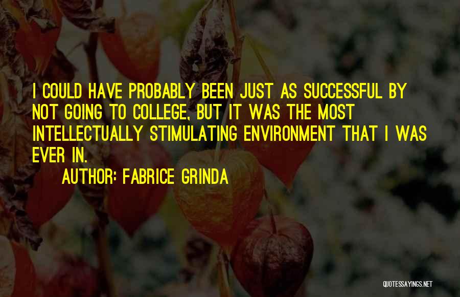 Fabrice Grinda Quotes: I Could Have Probably Been Just As Successful By Not Going To College, But It Was The Most Intellectually Stimulating