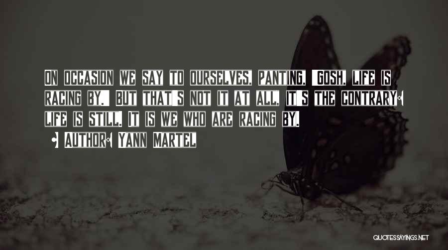 Yann Martel Quotes: On Occasion We Say To Ourselves, Panting, 'gosh, Life Is Racing By.' But That's Not It At All, It's The