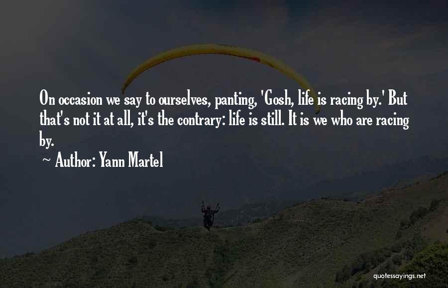 Yann Martel Quotes: On Occasion We Say To Ourselves, Panting, 'gosh, Life Is Racing By.' But That's Not It At All, It's The