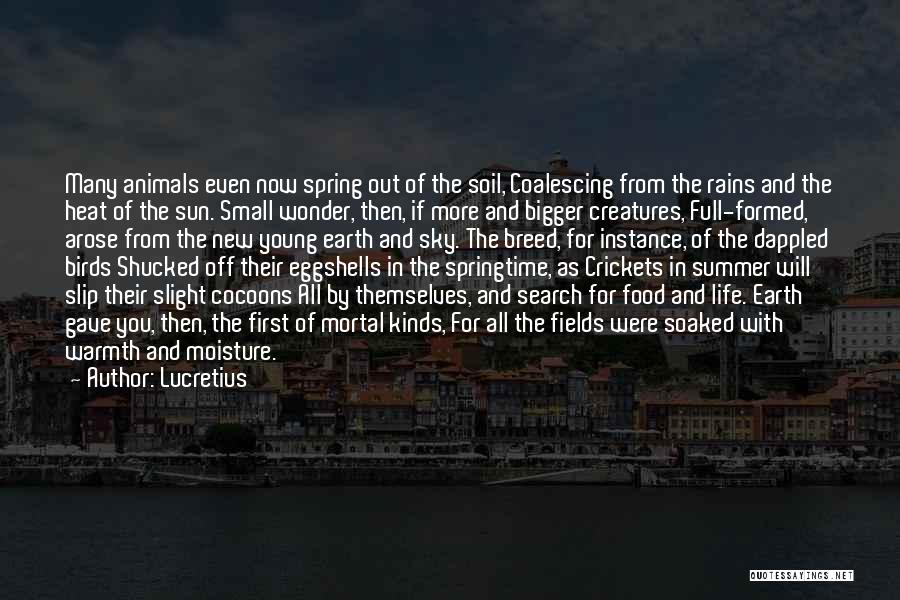 Lucretius Quotes: Many Animals Even Now Spring Out Of The Soil, Coalescing From The Rains And The Heat Of The Sun. Small